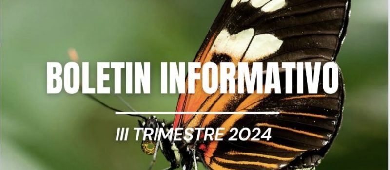 Boletín Informativo III Trimestre 2024